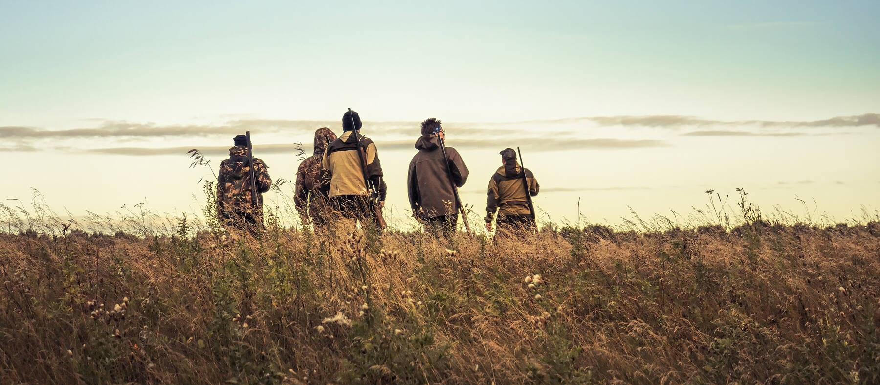 istock-1270305957-1.jpg -